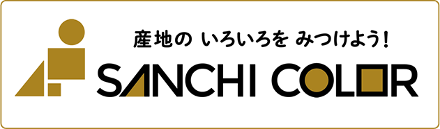 SANCHI COLOR